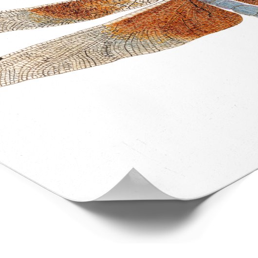 Canvas Print of a Dragonfly Poster (Ecke)