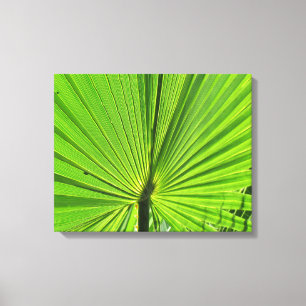 Canvas Print - Palm Frontend Leinwanddruck
