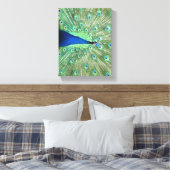 Canvas print - Pfau mit feingefangenem Schwanz Leinwanddruck (Insitu (Schlafzimmer))