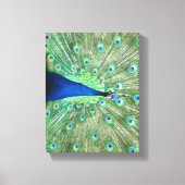 Canvas print - Pfau mit feingefangenem Schwanz Leinwanddruck (Vorderseite)