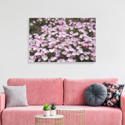 Canvas Print - Primrose Blüten Leinwanddruck (Insitu (Wohnzimmer))