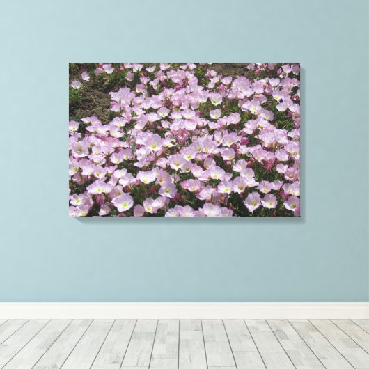 Canvas Print - Primrose Blüten Leinwanddruck (Insitu (Holzboden))