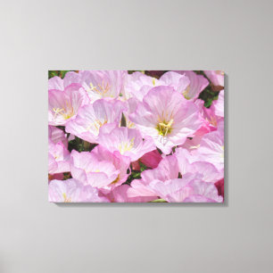 Canvas Print - Rosa Blume Leinwanddruck