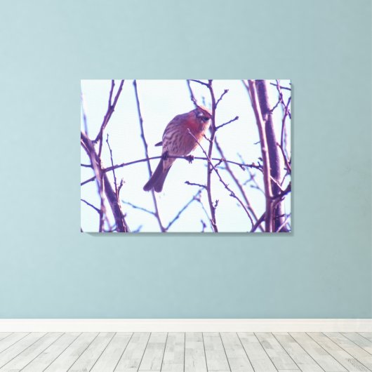 Canvas Print - Roter Sparrow in Tree Leinwanddruck (Insitu (Holzboden))