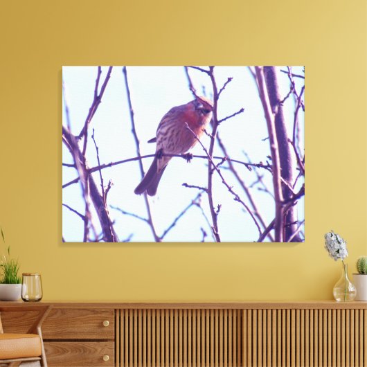 Canvas Print - Roter Sparrow in Tree Leinwanddruck (Insitu (Wohnzimmer))