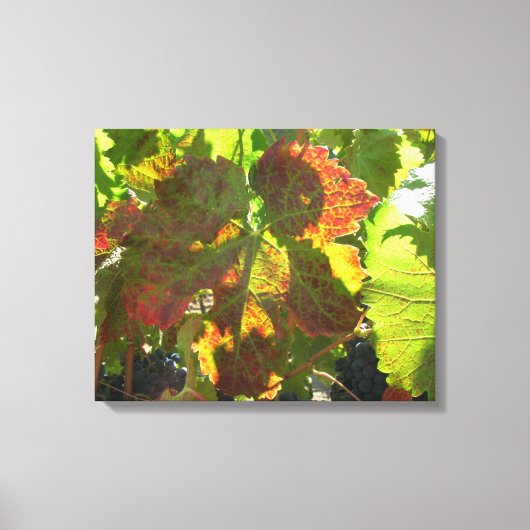 Canvas Print - Roter Weinleder Leinwanddruck (Vorderseite)