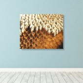 Canvas Print - Sonnenblumensaat Leinwanddruck (Insitu (Holzboden))