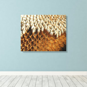 Canvas Print - Sonnenblumensaat Leinwanddruck
