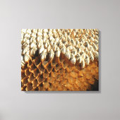 Canvas Print - Sonnenblumensaat Leinwanddruck (Vorderseite)