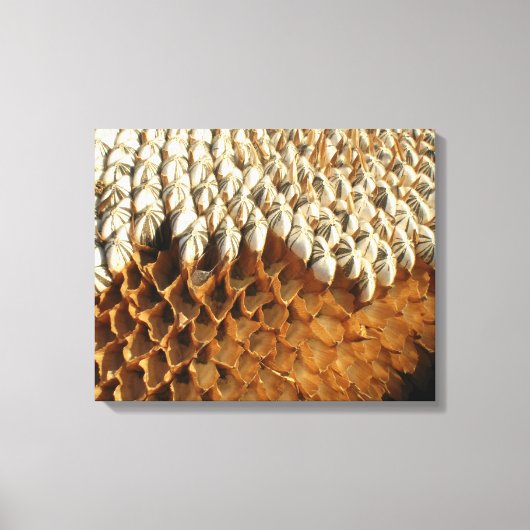 Canvas Print - Sonnenblumensaat Leinwanddruck (Vorderseite)