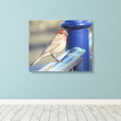 Canvas print - Sparrow auf blauem Zaun Leinwanddruck (Insitu (Holzboden))