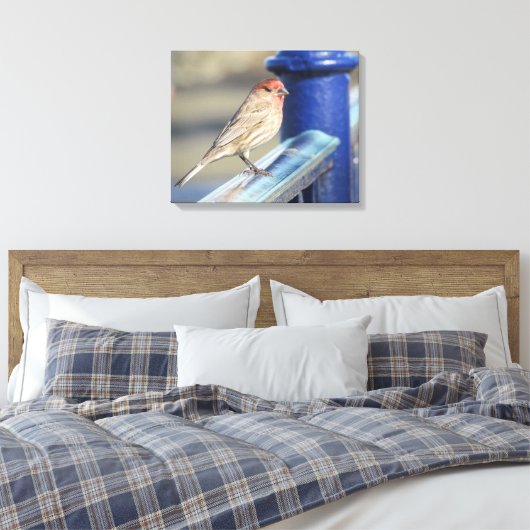 Canvas print - Sparrow auf blauem Zaun Leinwanddruck (Insitu (Schlafzimmer))