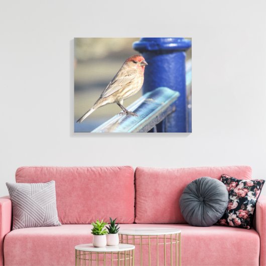Canvas print - Sparrow auf blauem Zaun Leinwanddruck (Insitu (Wohnzimmer))