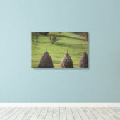Canvas Print Straw Bales Leinwanddruck (Insitu (Holzboden))