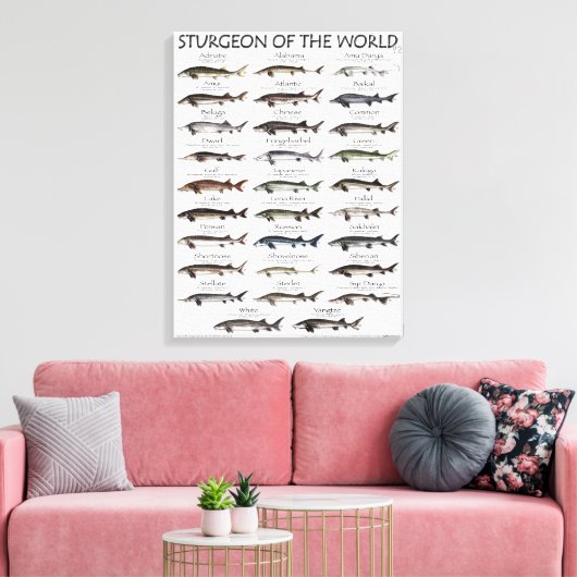 CANVAS PRINT - STURGEON OF THE WORLD LEINWANDDRUCK (Insitu (Wohnzimmer))