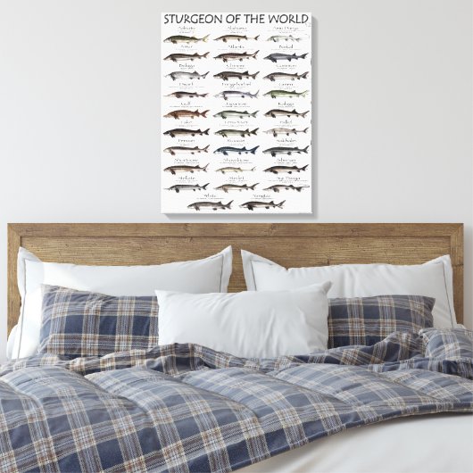 CANVAS PRINT - STURGEON OF THE WORLD LEINWANDDRUCK (Insitu (Schlafzimmer))