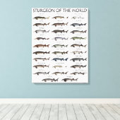 CANVAS PRINT - STURGEON OF THE WORLD LEINWANDDRUCK (Insitu (Holzboden))