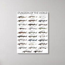 CANVAS PRINT - STURGEON OF THE WORLD LEINWANDDRUCK
