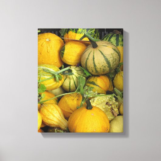 Canvas Print - Summer Squash 1 Leinwanddruck (Vorderseite)