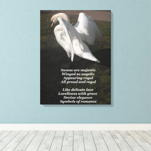 Canvas Print Swans werden von Ladee Basset großart Leinwanddruck (Insitu (Holzboden))