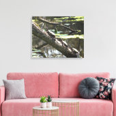 Canvas Print - Teichschildkröten Leinwanddruck (Insitu (Wohnzimmer))