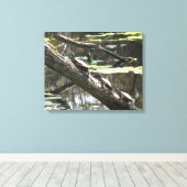 Canvas Print - Teichschildkröten Leinwanddruck (Insitu (Holzboden))