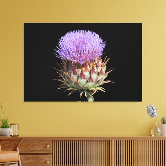 Canvas Print - Thistle Leinwanddruck (Insitu (Wohnzimmer))