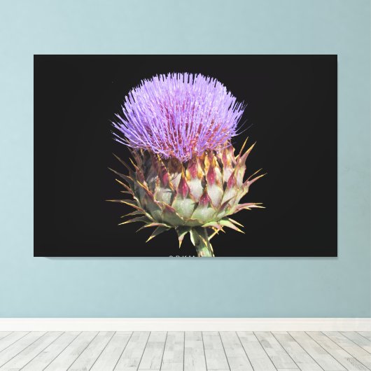 Canvas Print - Thistle Leinwanddruck (Insitu (Holzboden))