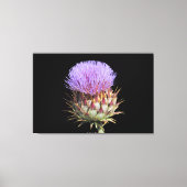 Canvas Print - Thistle Leinwanddruck (Vorderseite)