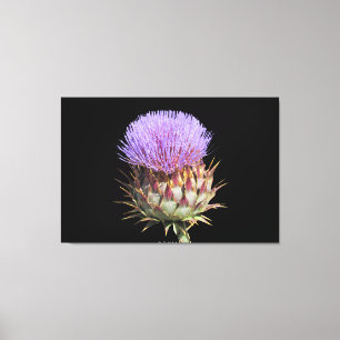 Canvas Print - Thistle Leinwanddruck