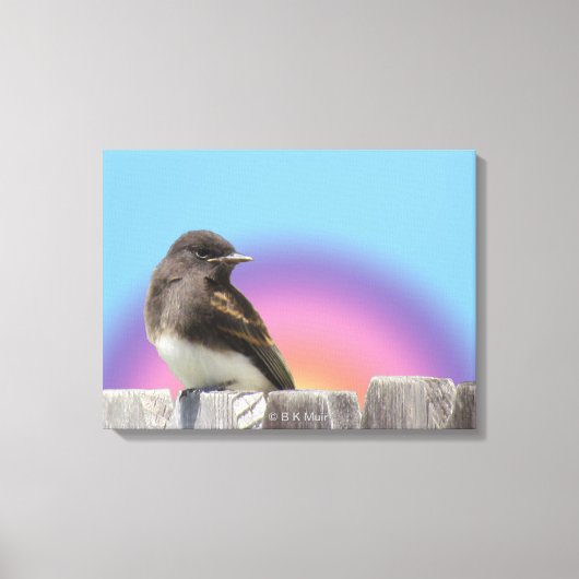 Canvas print - Vögel auf Zaun Leinwanddruck (Vorderseite)