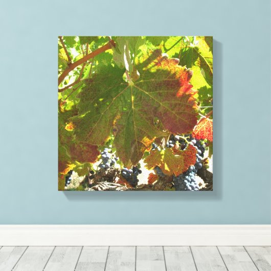 Canvas print - Weinreben Leinwanddruck (Insitu (Holzboden))