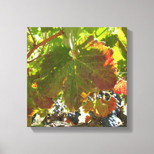Canvas print - Weinreben Leinwanddruck