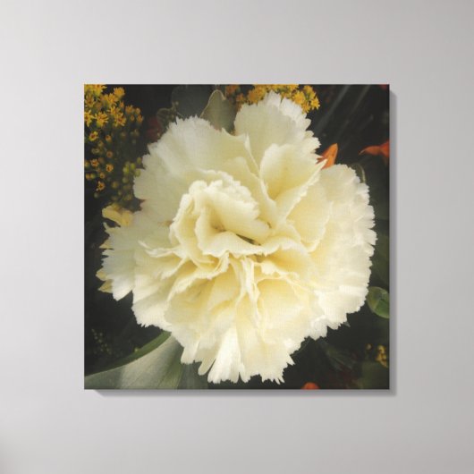 Canvas Print White Carnation Beauty Leinwanddruck (Vorderseite)