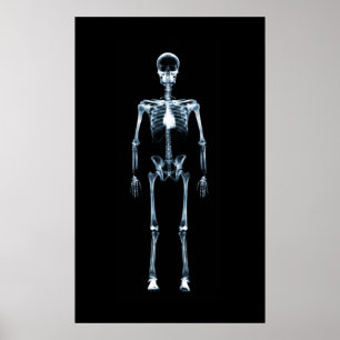 Canvas Print X-Ray Vision Blue Single Skeleton Poster