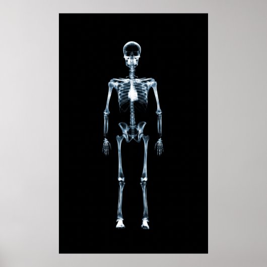 Canvas Print X-Ray Vision Blue Single Skeleton Poster (Vorne)