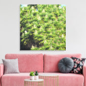 Canvas Print - Yucca-Pflanze (2 Bedienfelder) Leinwanddruck (Insitu (Wohnzimmer))