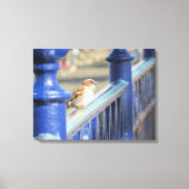 Canvas print - Zaun Leinwanddruck (Vorderseite)