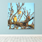 Canvas Print - Zwei Vögel in Branchen Leinwanddruck (Insitu (Holzboden))