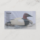 Canvasback Decoy #1 Visitenkarten Visitenkarte (Vorderseite)