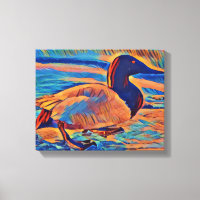 Canvasback Duck Art Malerei