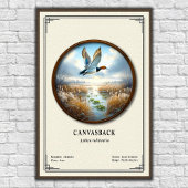Canvasback Zoology Series Poster