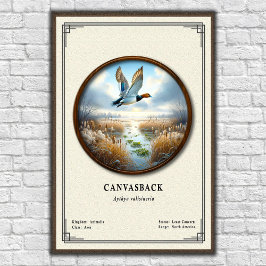 Canvasback Zoology Series Poster