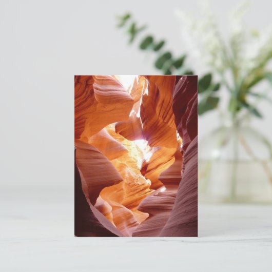 Canyon Antelope Postkarte (Stehend Vorderseite)