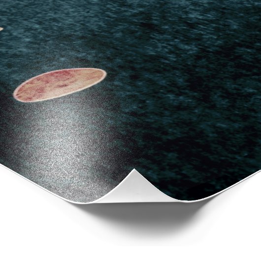 Canyon Birds Fotodruck (Ecke)