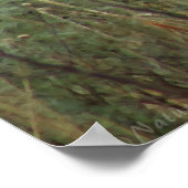 Canyon Buffalo Art Poster -60x40 -andere Größen au (Ecke)