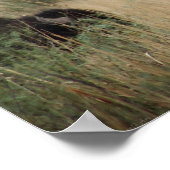 Canyon Buffalo Art Print -24x20 -andere Größen auc Poster (Ecke)