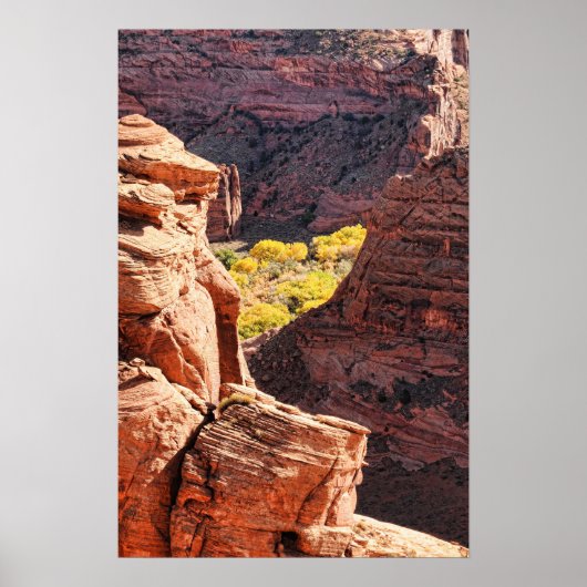 Canyon de Chelly Poster (Vorne)