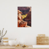 Canyon de Chelly Poster (Küche)