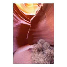 Canyon in vielen Farben Fotodruck